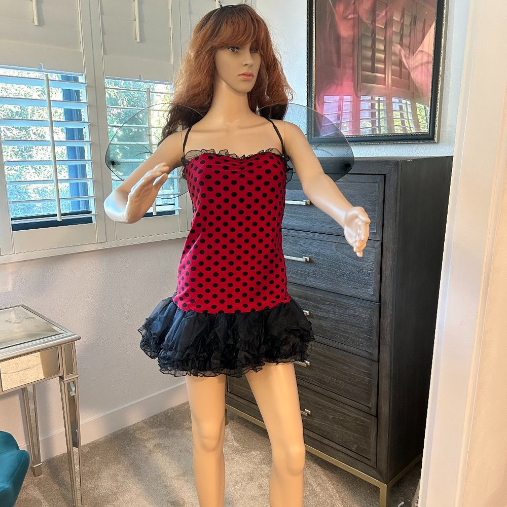 Reversible Bee/Lady bug Halloween Costume